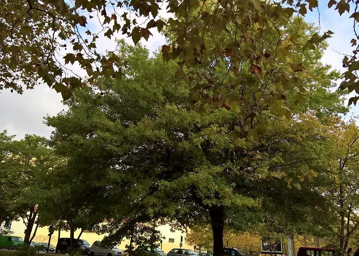 公寓 玛塔比奥公寓 *