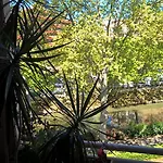 Apartmán Matabiau *