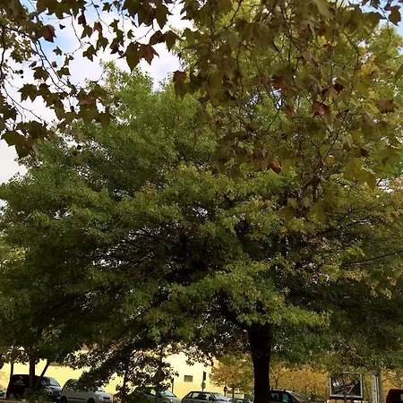 Appartement Matabiau *