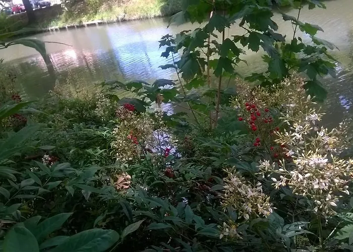 Matabiau * טולוז