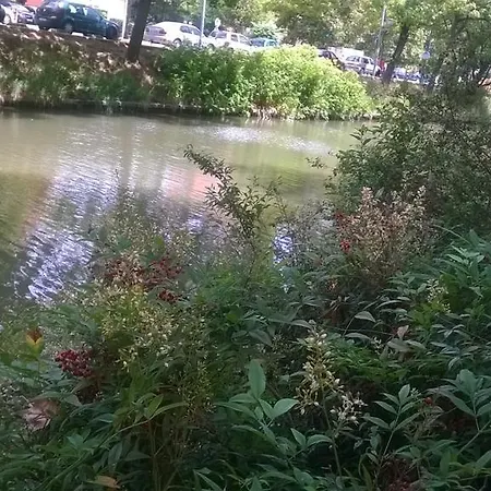 Matabiau Appartement *